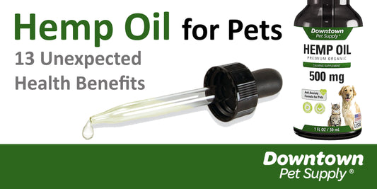 Hemp Oil for Pets: 13 Unexpected Health Benefits
