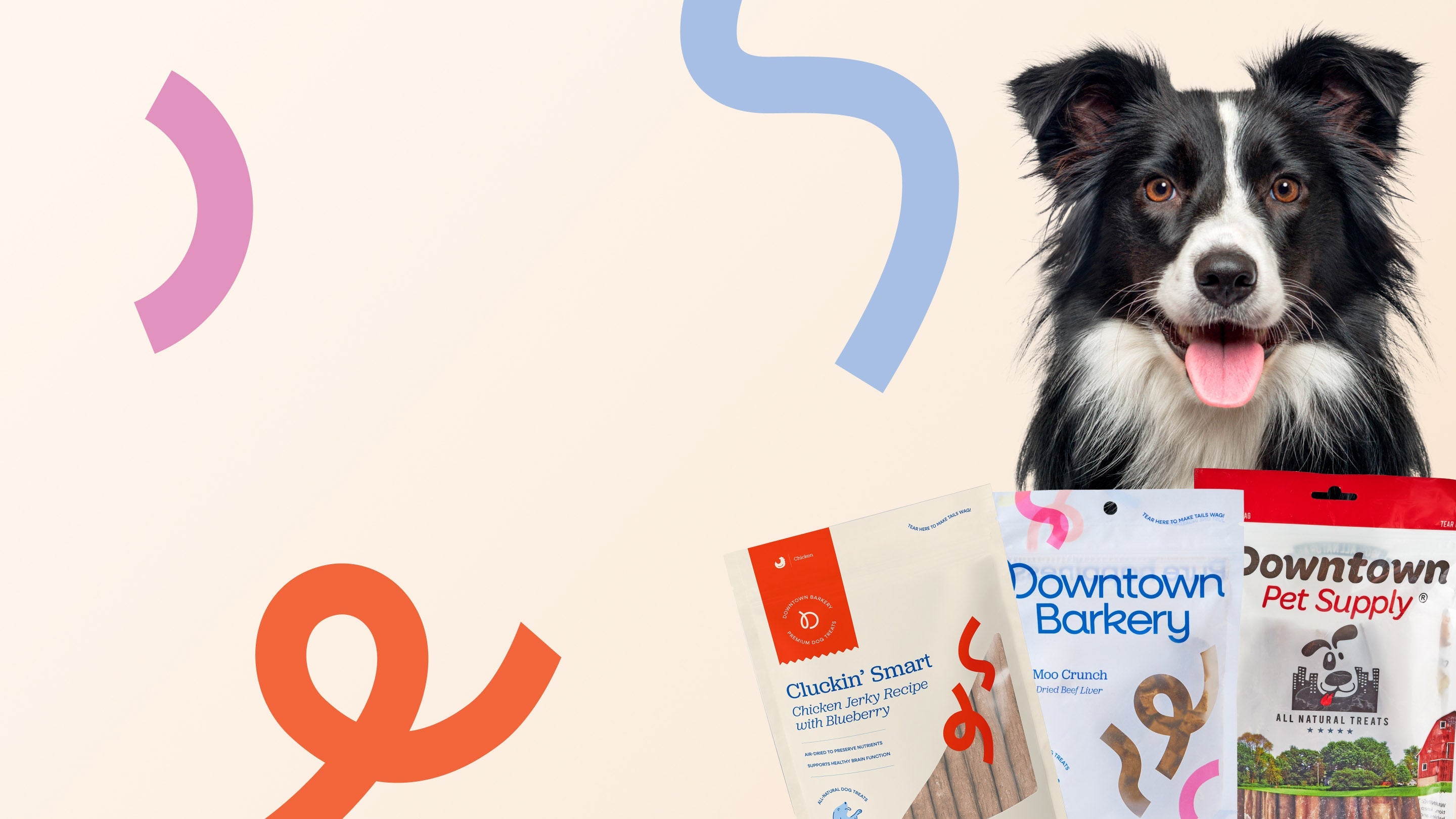 Our Picks for National Pet Month