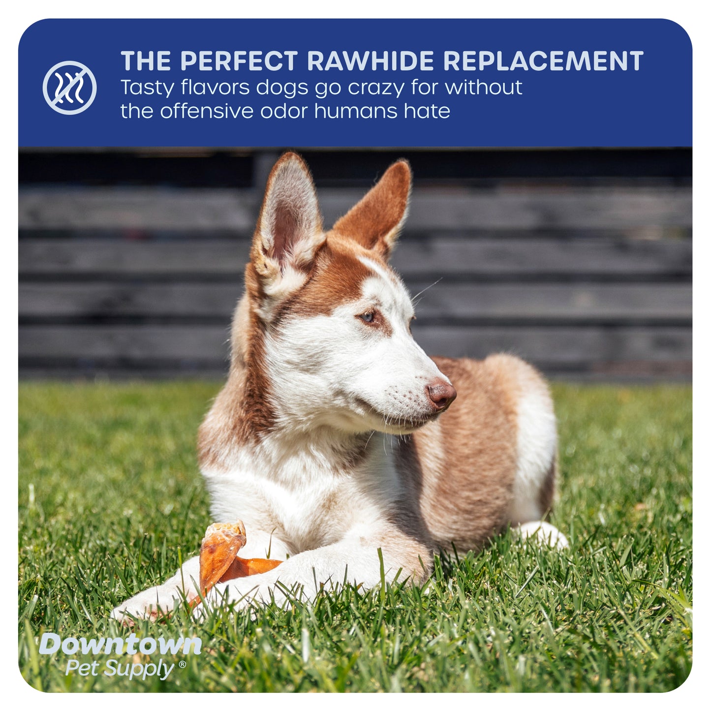 Jumbo Pig Ears - 100% Natural Dog Chew Treats