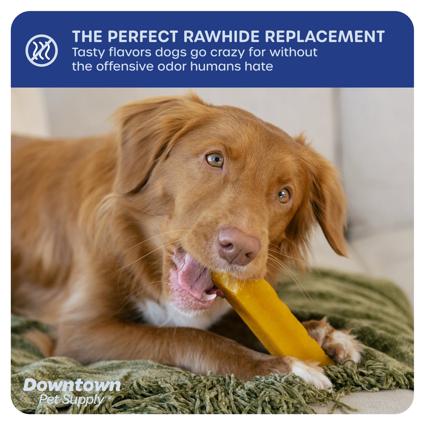 Yak Dog Chew Sticks - 100% Natural Dog Treats - Multi-Pack Options