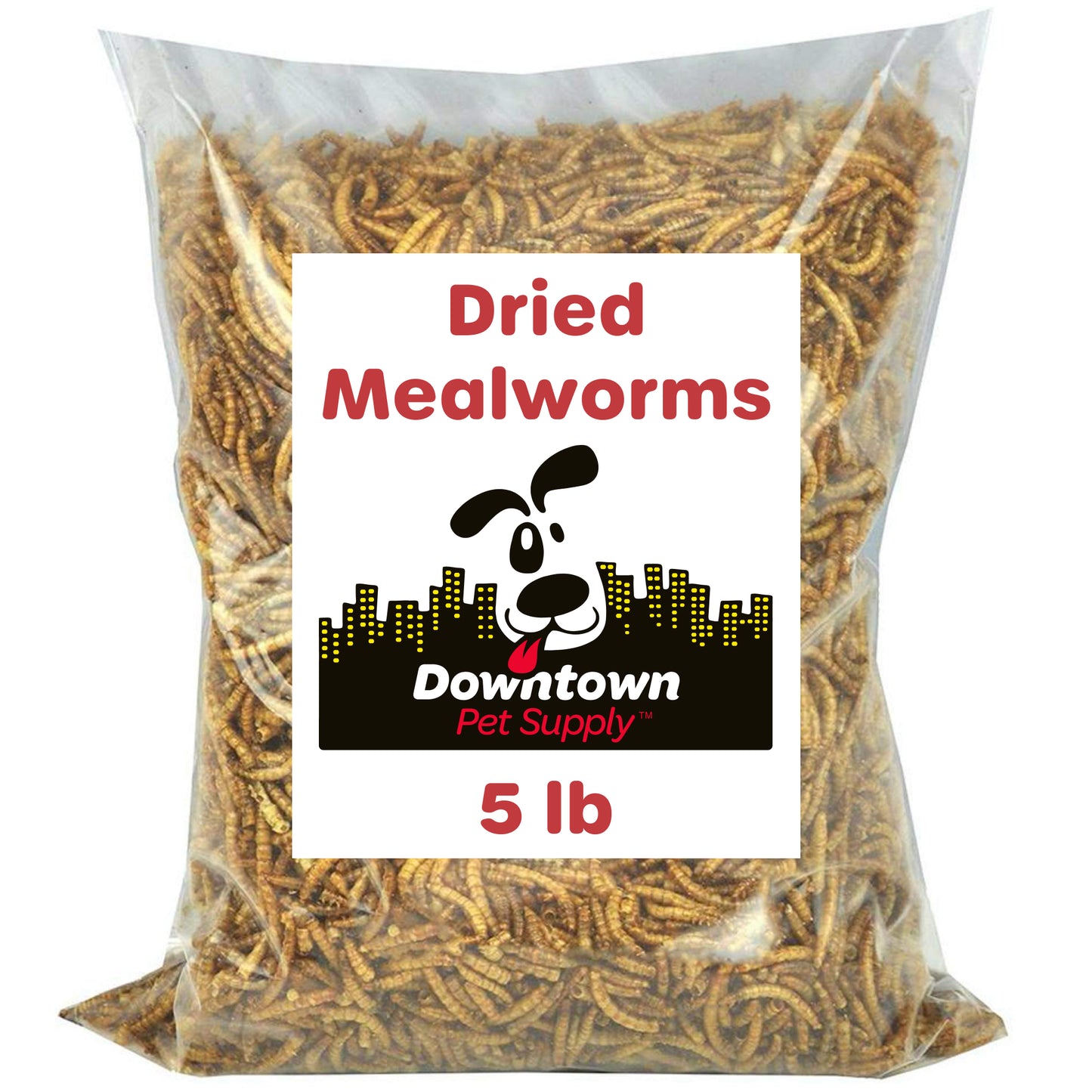 Dried Mealworms - High Protein Natural Treats - By Weight