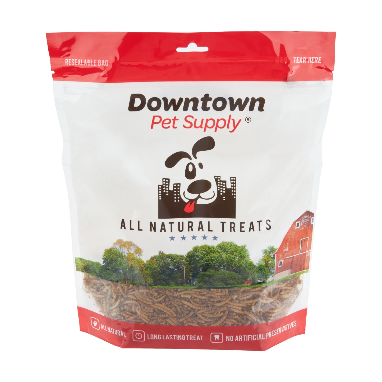 Dried Mealworms - High Protein Natural Treats - By Weight