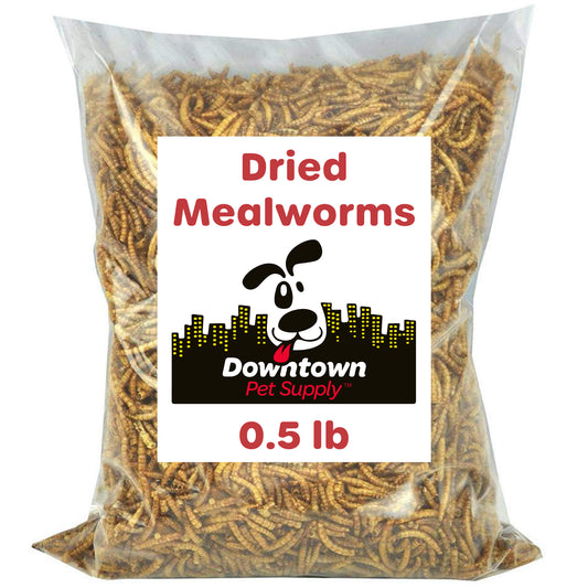 Dried Mealworms - High Protein Natural Treats - By Weight