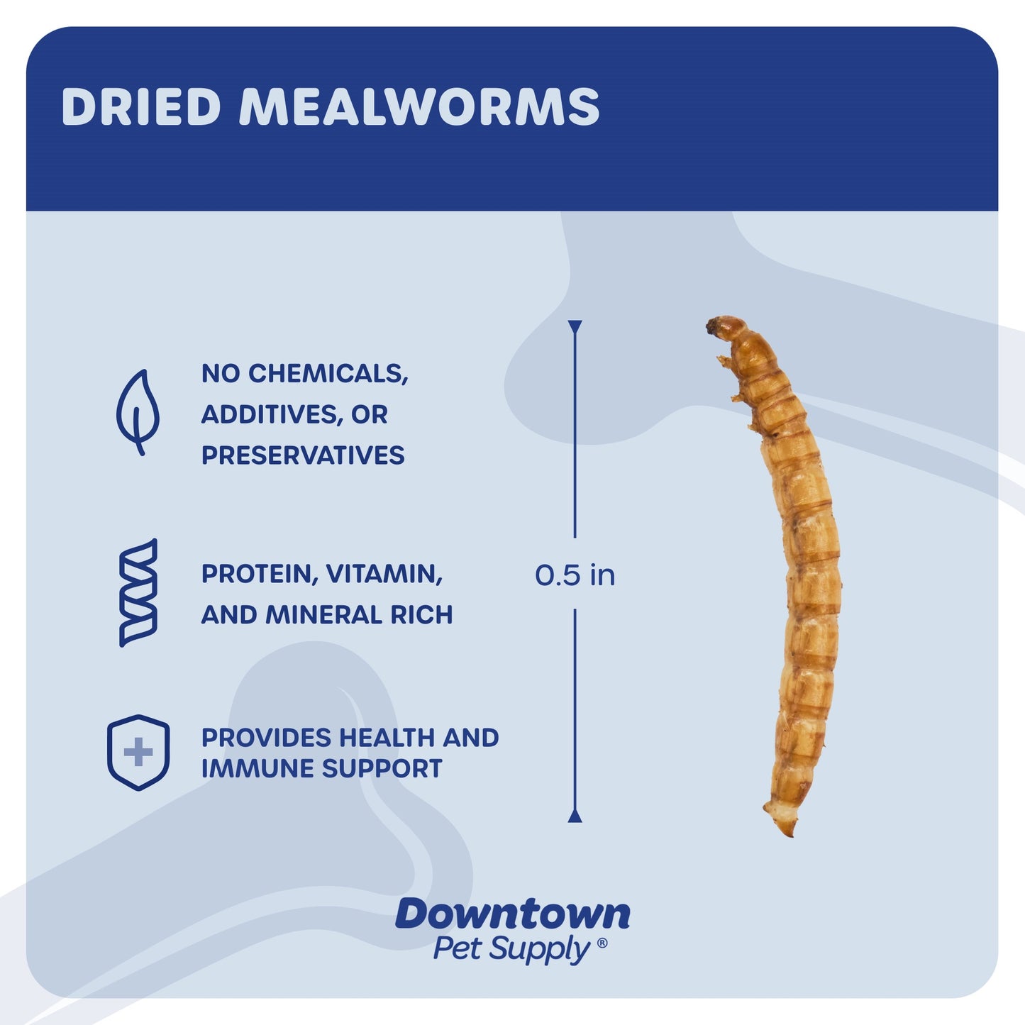 Dried Mealworms - High Protein Natural Treats - By Weight