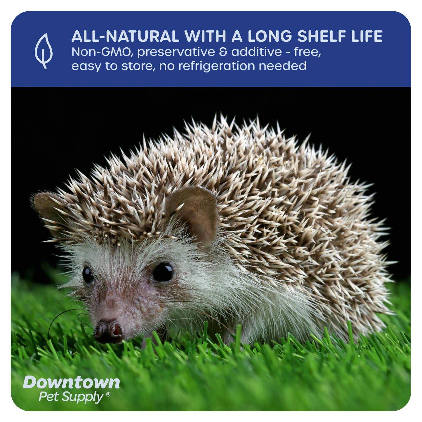 Dried Mealworms - High Protein Natural Treats - By Weight