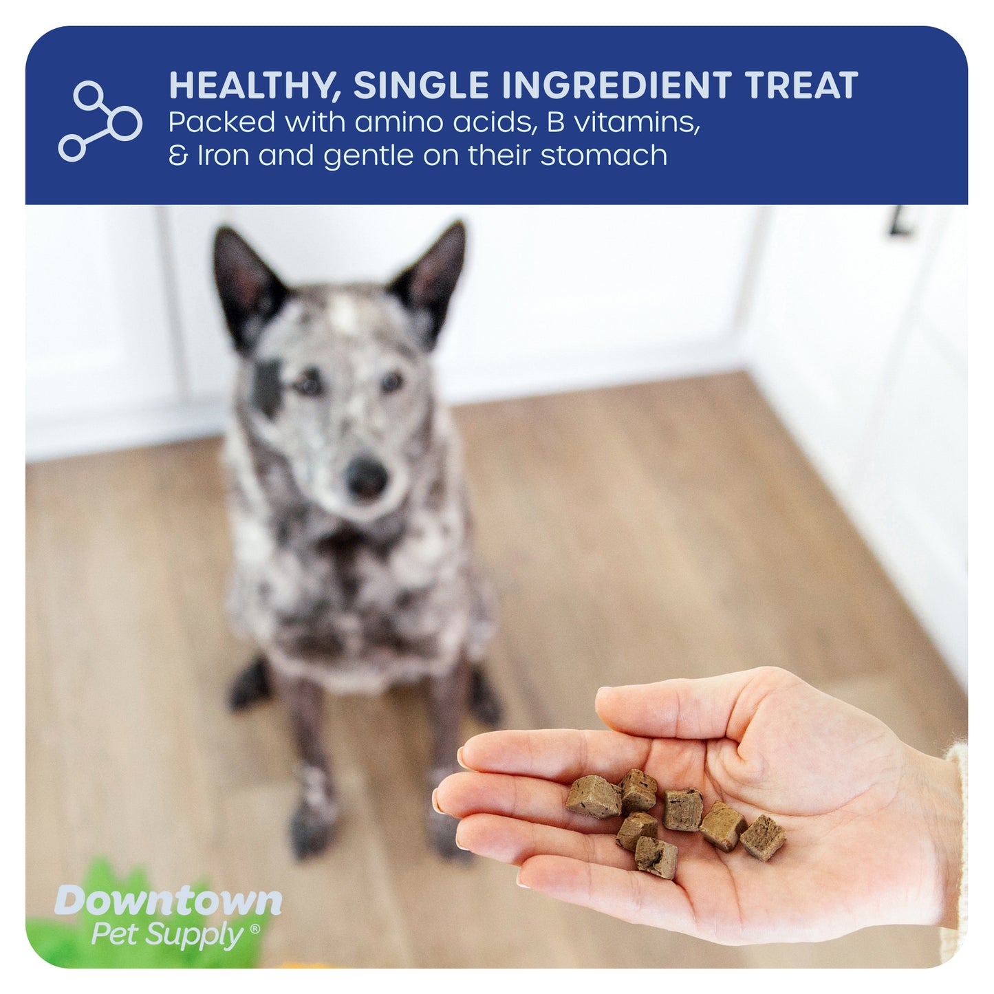 1/3" Freeze Dried Raw Dog Food - Multi-Pack and Flavor Options