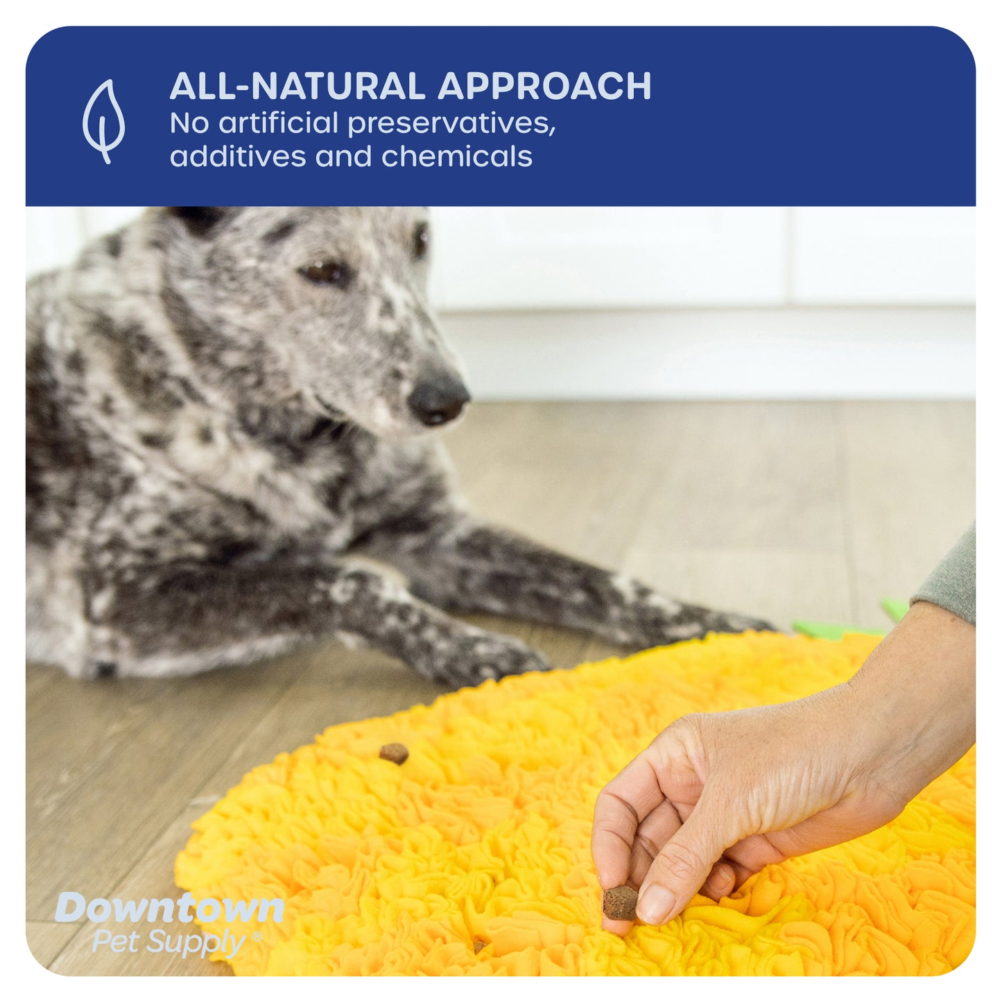 1/3" Freeze Dried Raw Dog Food - Multi-Pack and Flavor Options