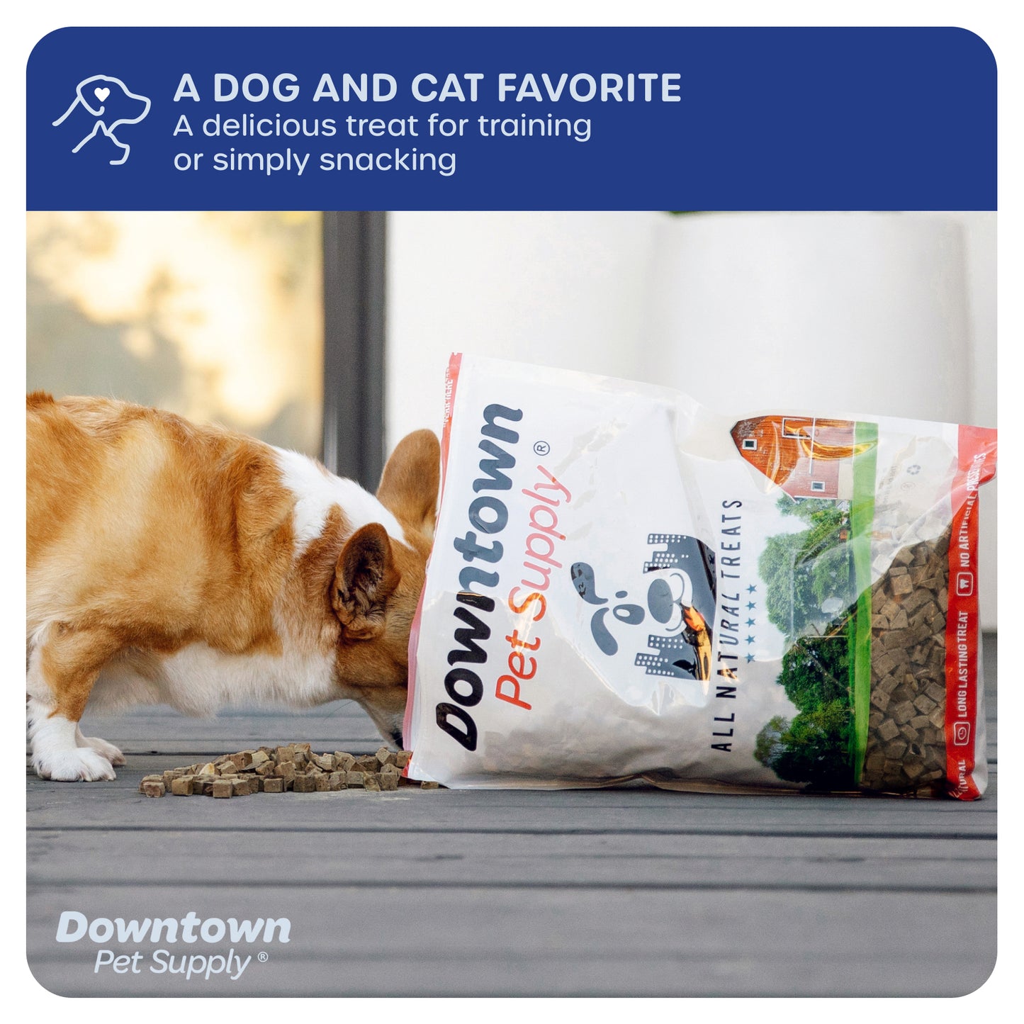 1/3" Freeze Dried Raw Dog Food - Multi-Pack and Flavor Options