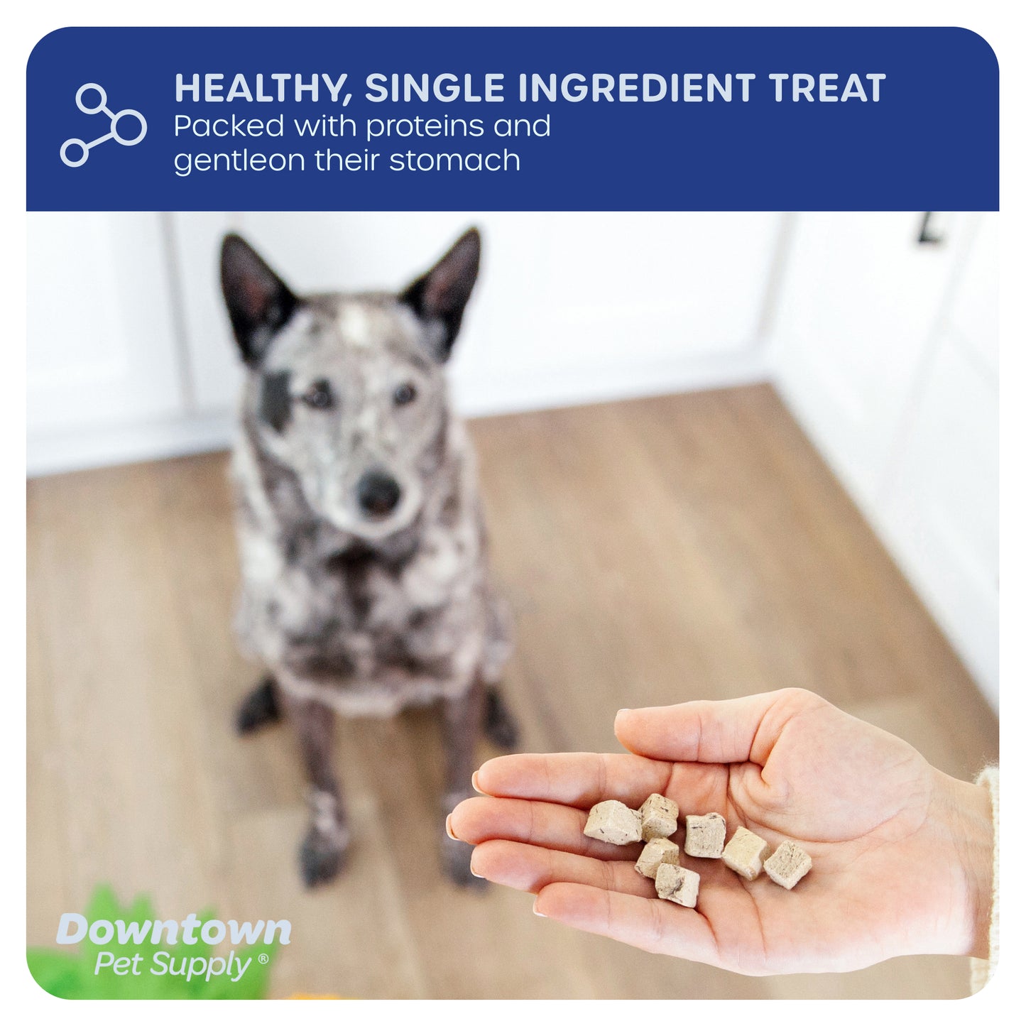 1/3" Freeze Dried Raw Dog Food - Multi-Pack and Flavor Options