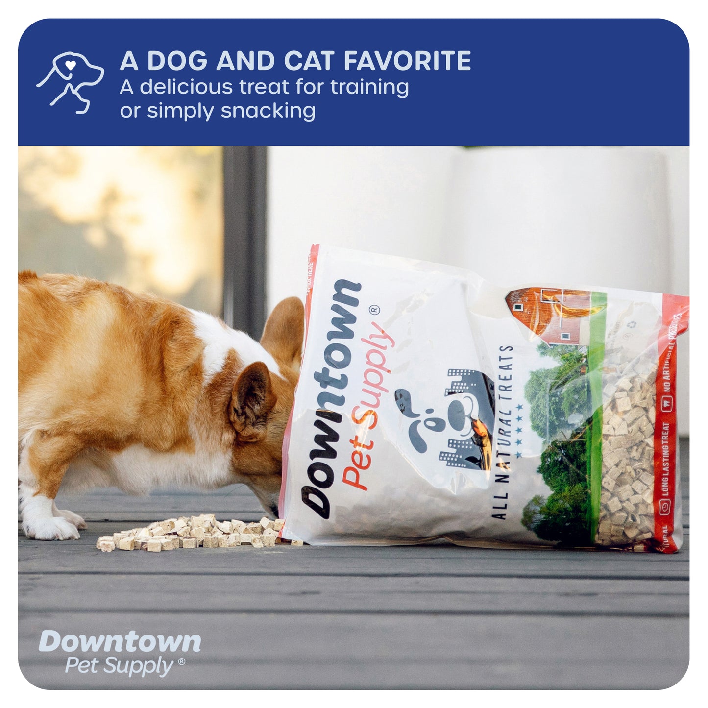 1/3" Freeze Dried Raw Dog Food - Multi-Pack and Flavor Options