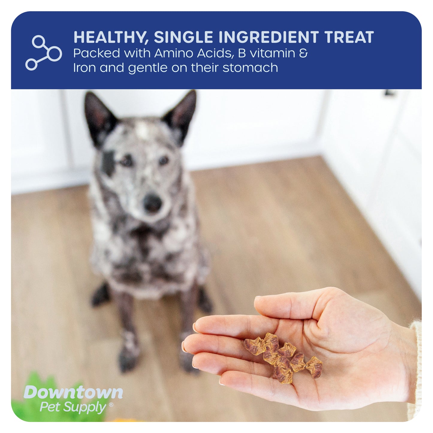 1/3" Freeze Dried Raw Dog Food - Multi-Pack and Flavor Options
