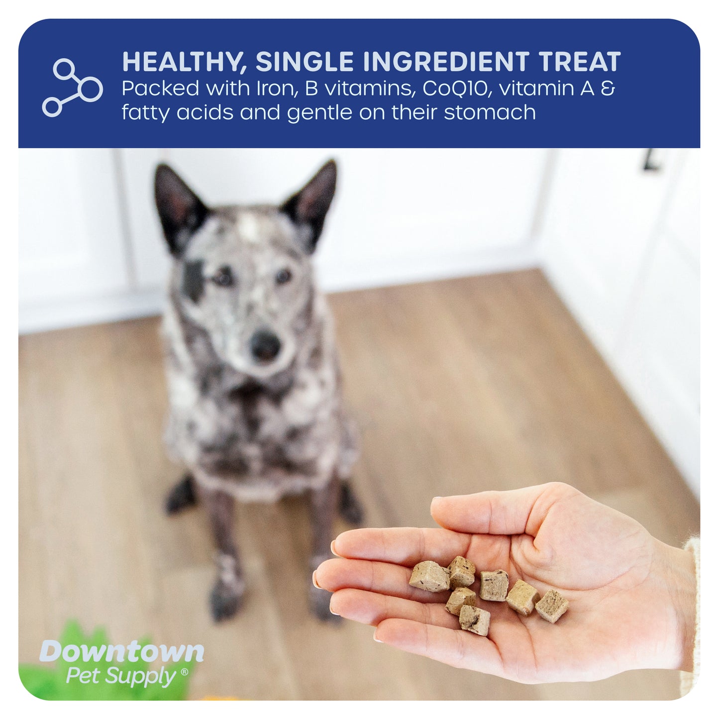 1/3" Freeze Dried Raw Dog Food - Multi-Pack and Flavor Options
