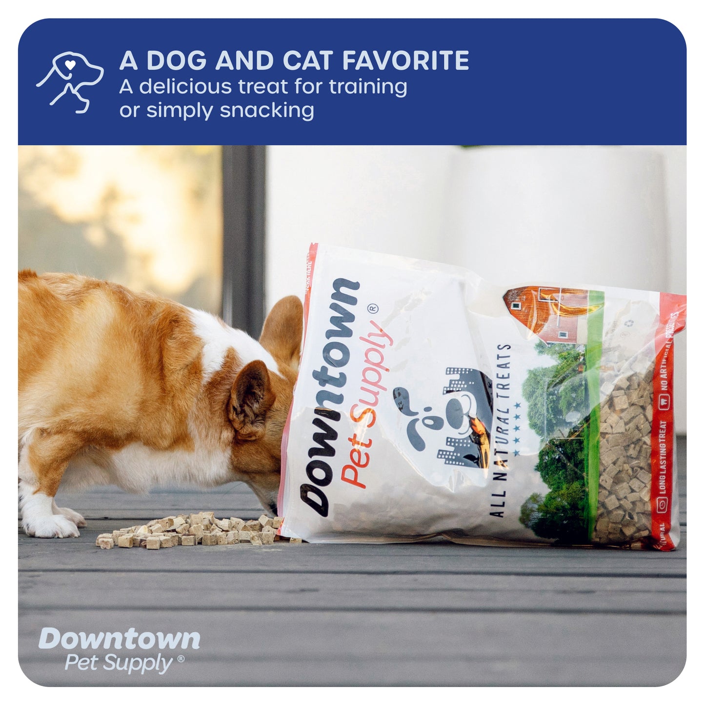 1/3" Freeze Dried Raw Dog Food - Multi-Pack and Flavor Options