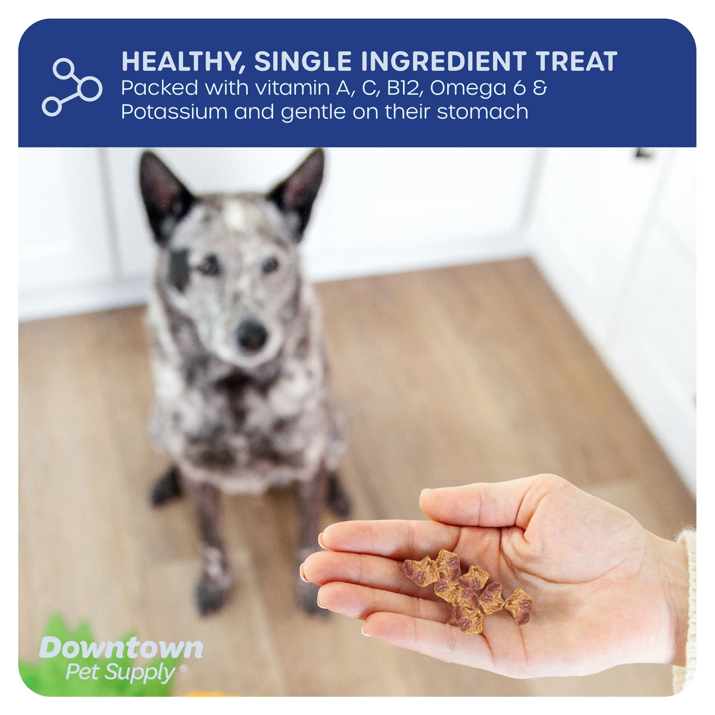 1/3" Freeze Dried Raw Dog Food - Multi-Pack and Flavor Options