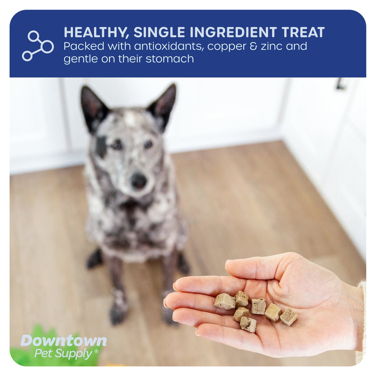 1/3" Freeze Dried Raw Dog Food - Multi-Pack and Flavor Options