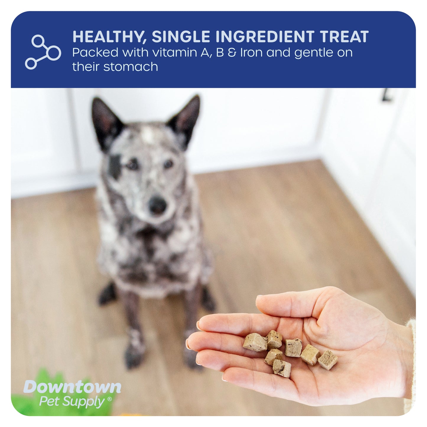 1/3" Freeze Dried Raw Dog Food - Multi-Pack and Flavor Options