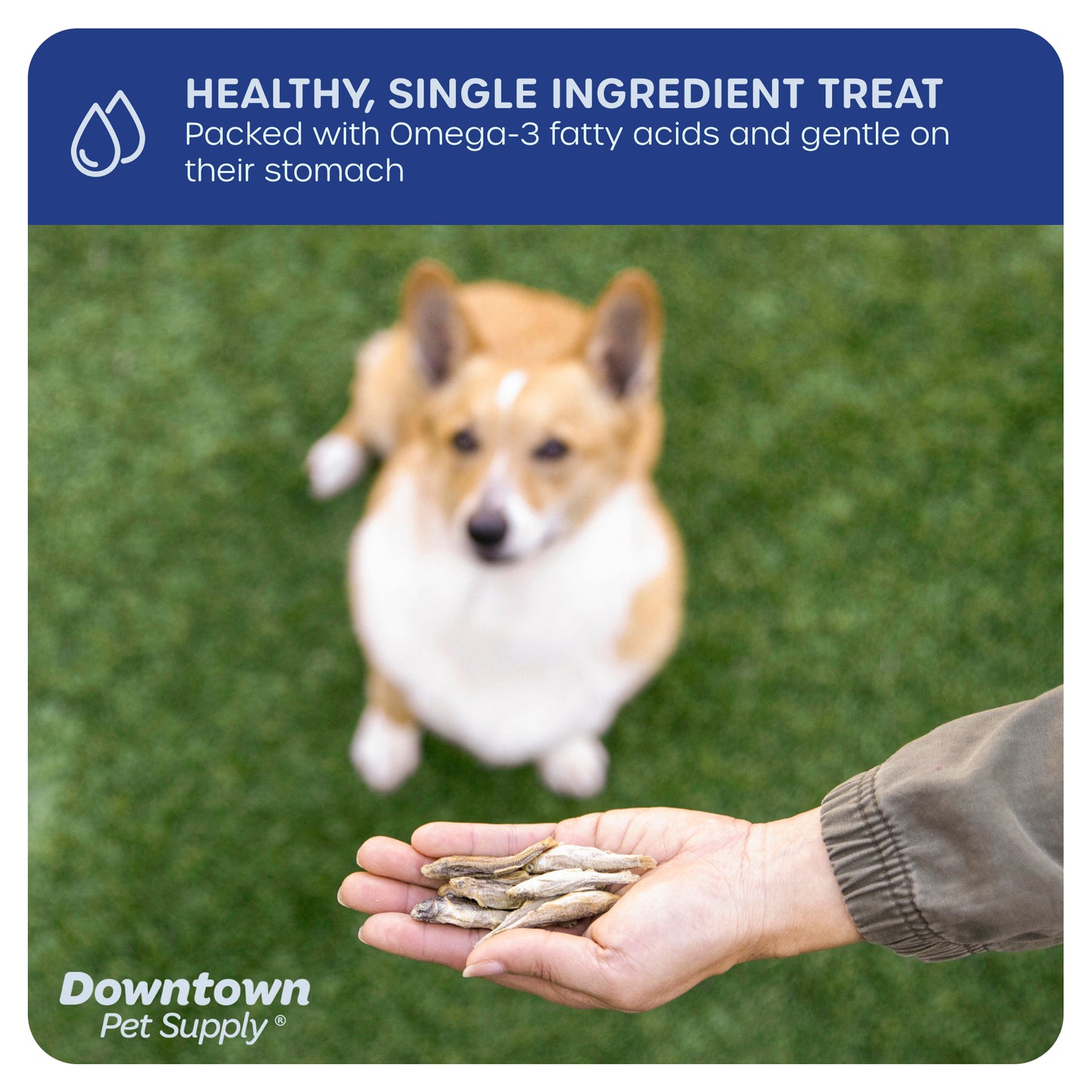1/3" Freeze Dried Raw Dog Food - Multi-Pack and Flavor Options