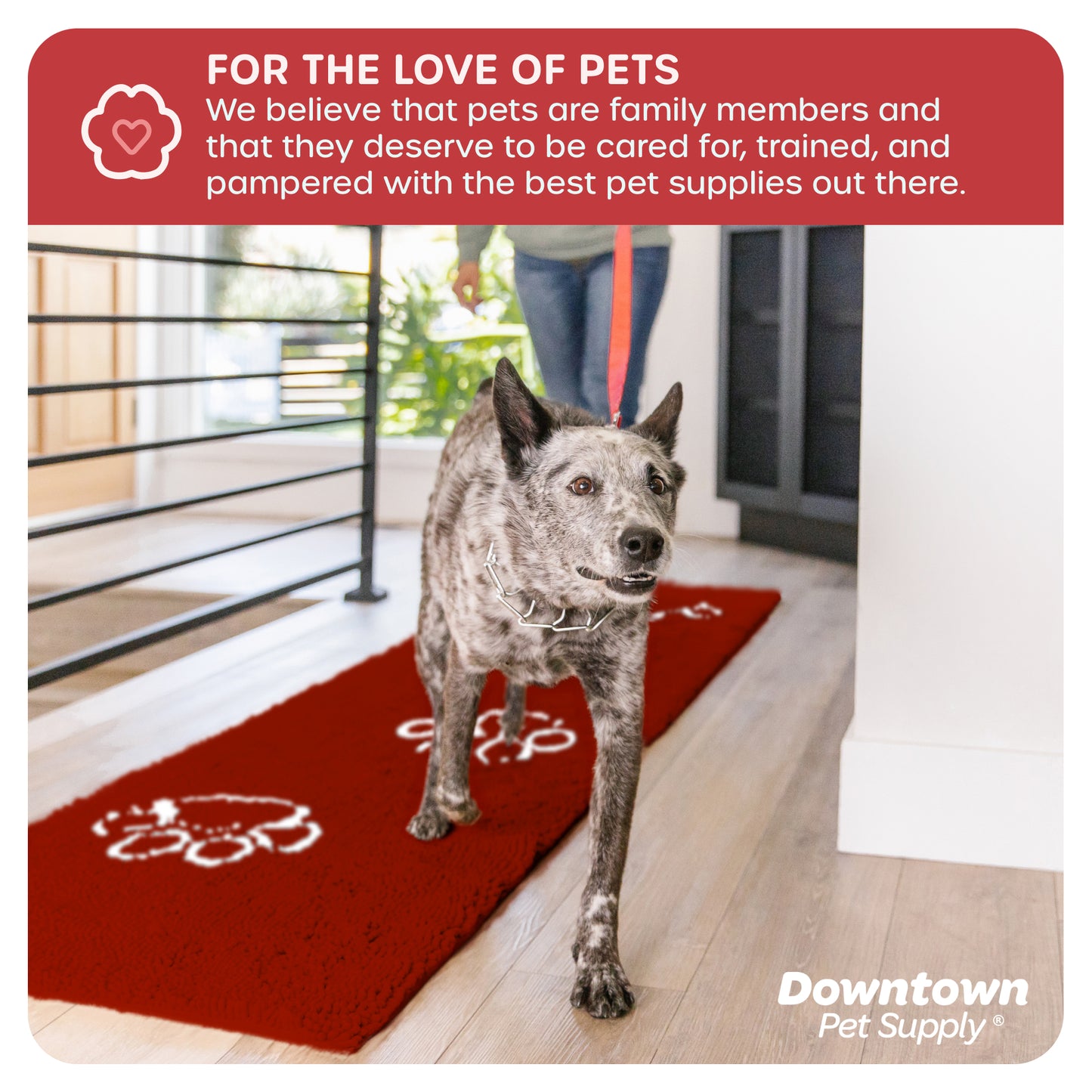 My Doggy Place - Ultra Absorbent Microfiber Dog Pet Door Mat, Durable, Quick Drying, Washable, Prevent Mud Dirt, Keep Your House Clean (Paw Print Design)