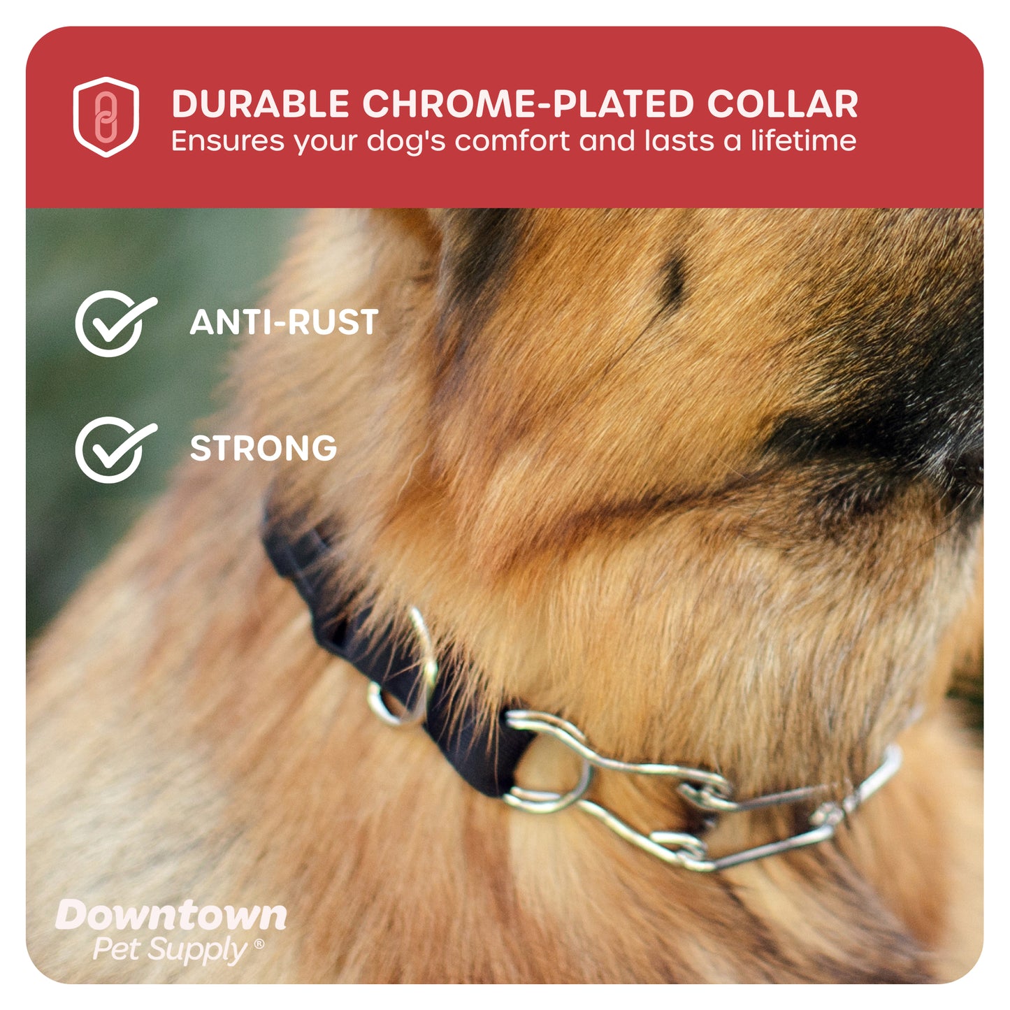 Adjustable Prong Collar for Dogs - Multi-Size and Color Options