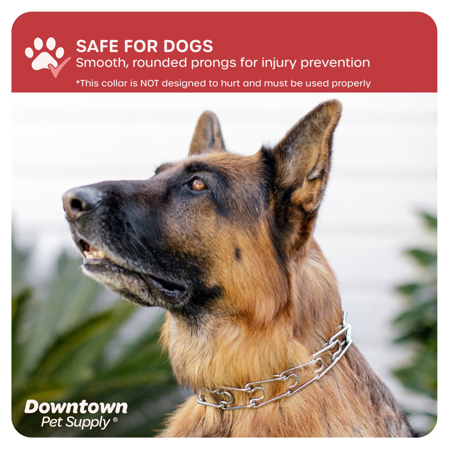 Adjustable Prong Collar for Dogs - Multi-Size and Color Options
