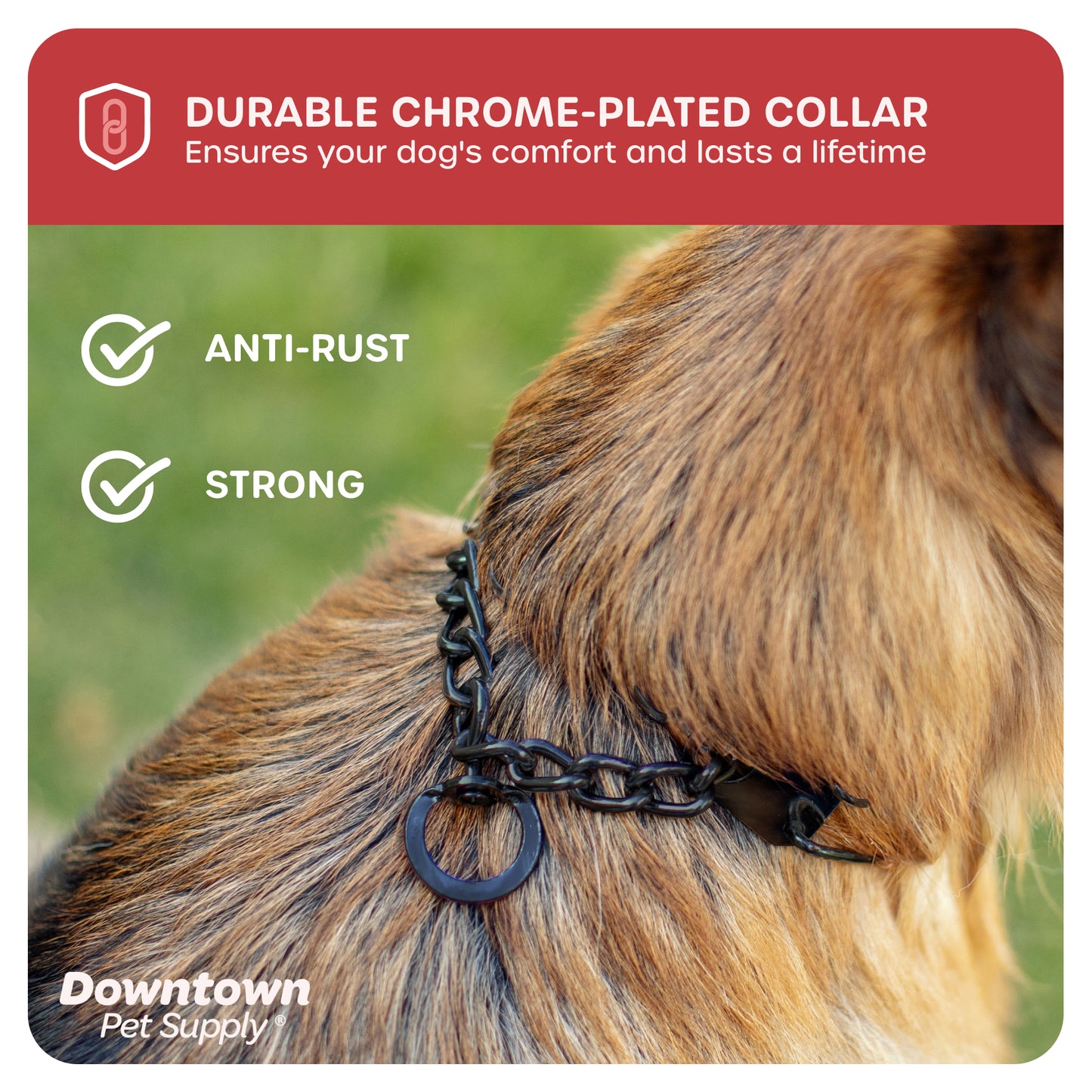 Adjustable Prong Collar for Dogs - Multi-Size and Color Options