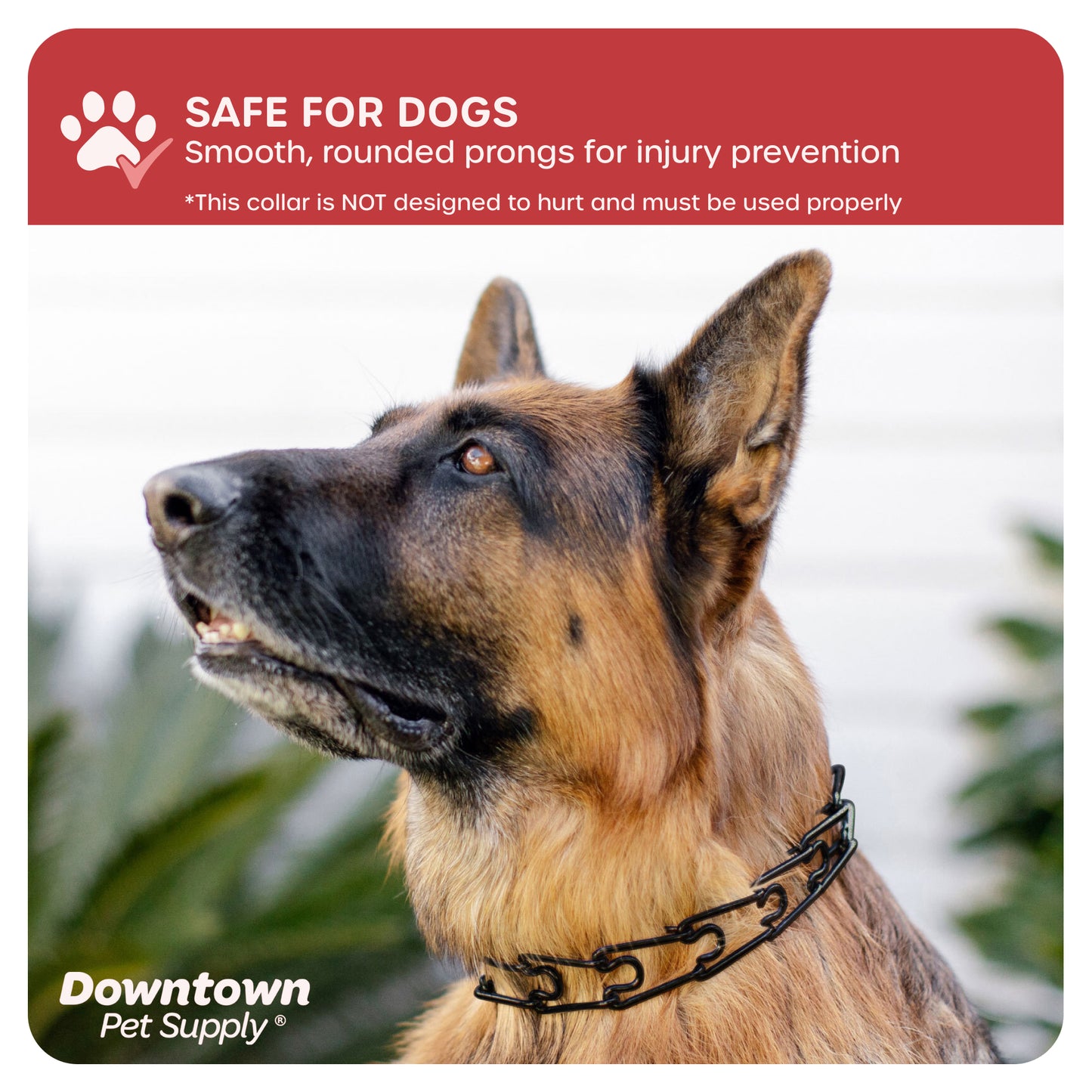 Adjustable Prong Collar for Dogs - Multi-Size and Color Options