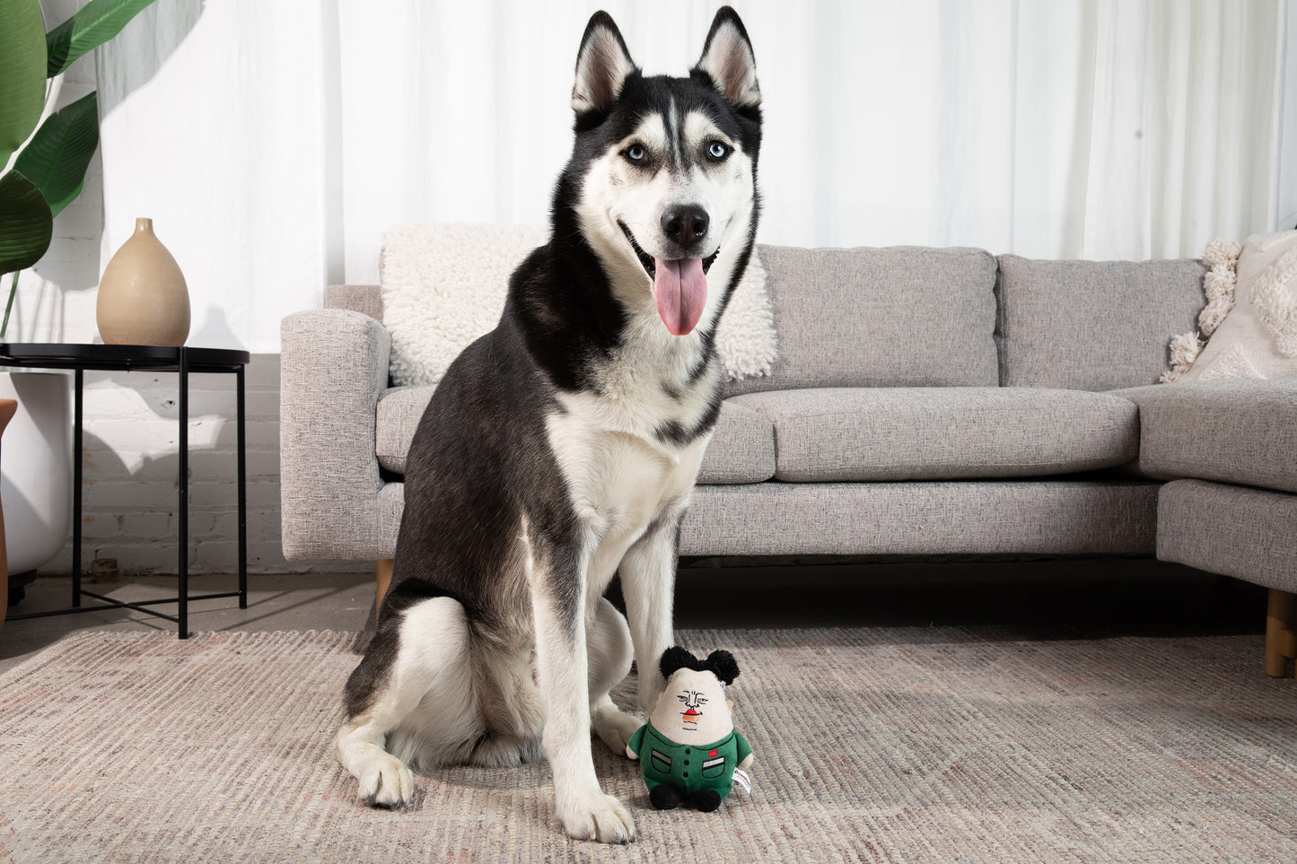 Political Dog Chew Toy with Squeaker