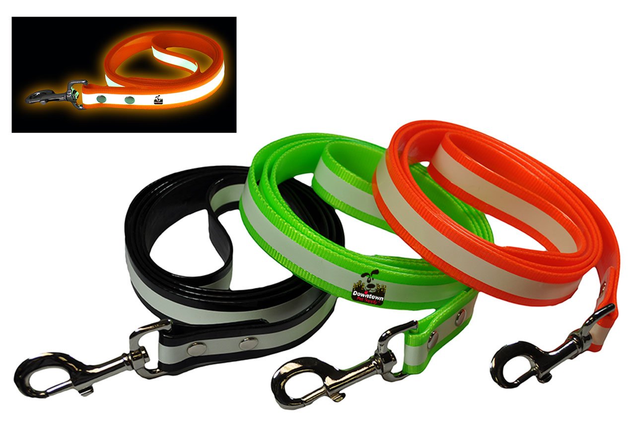 Dog Leash - Glow In The Dark - Multi-Color Options