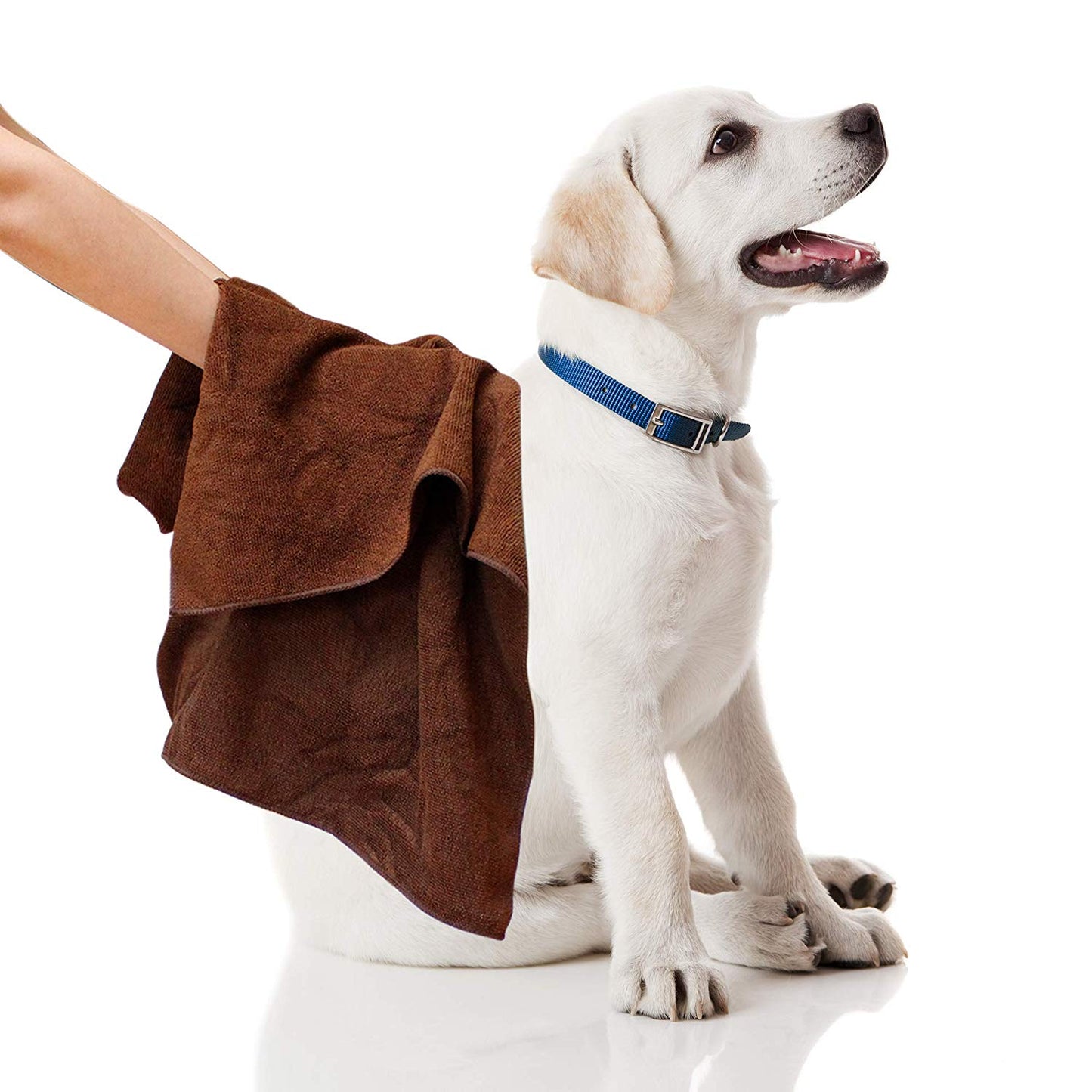 My Doggy Place Microfiber Drying Towel: 45" x 28", Ultra Absorbent