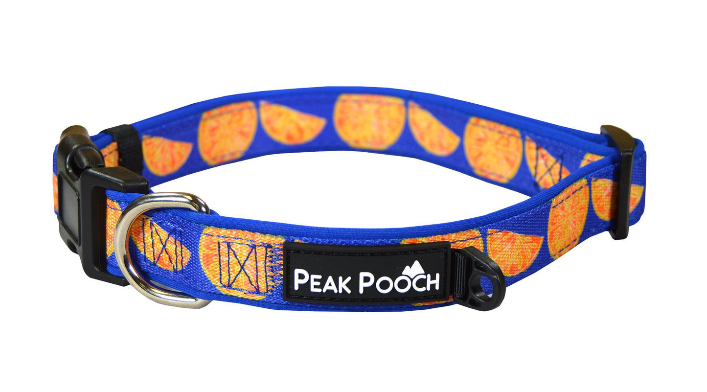 Adjustable Fruit Pattern Dog Collar - Multi-Size and Color Options