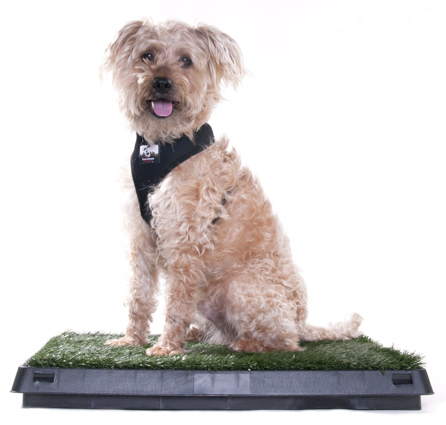 Pet Dog Pee Turf Bathroom Relief System - 3 Layers