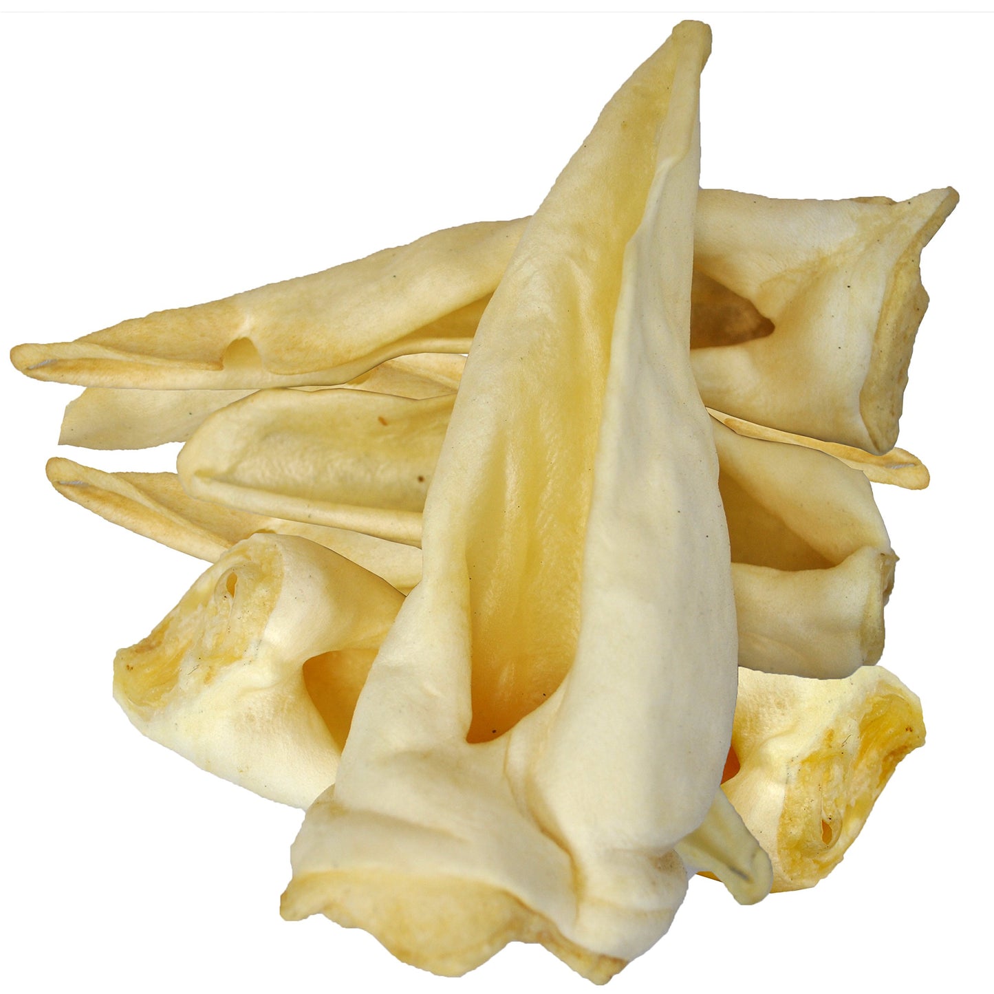 Cow, Goat and Lamb Ears for Dogs - Natural Treats - By Pack