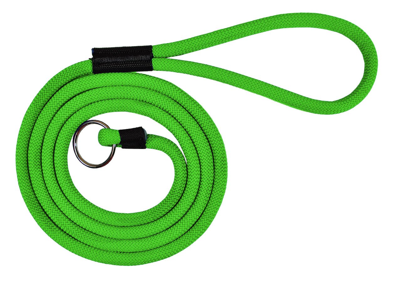 Durable 6' Long Dog Slip Lead Leash - Multi-Color Options