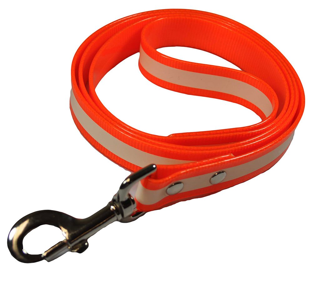 Dog Leash - Glow In The Dark - Multi-Color Options