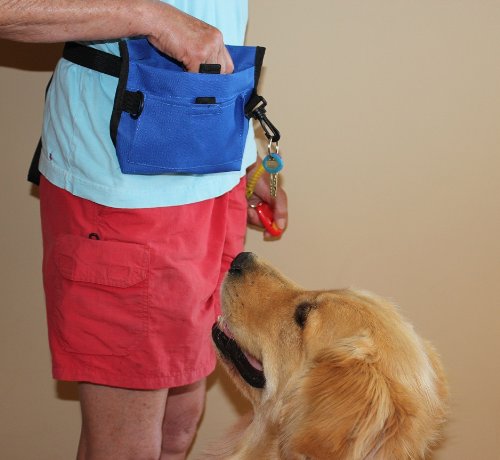 Dog Training Treat Bag with Pocket and Clicker - Multi-Color Options