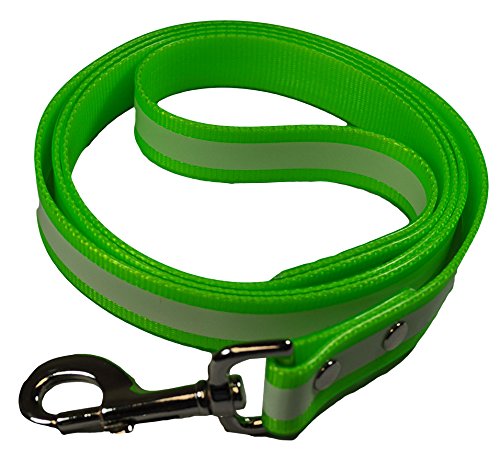 Dog Leash - Glow In The Dark - Multi-Color Options