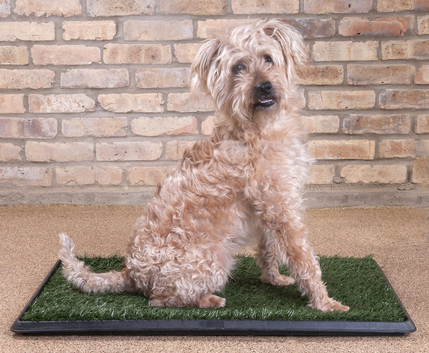 Pet Dog Pee Turf Bathroom Relief System - 3 Layers