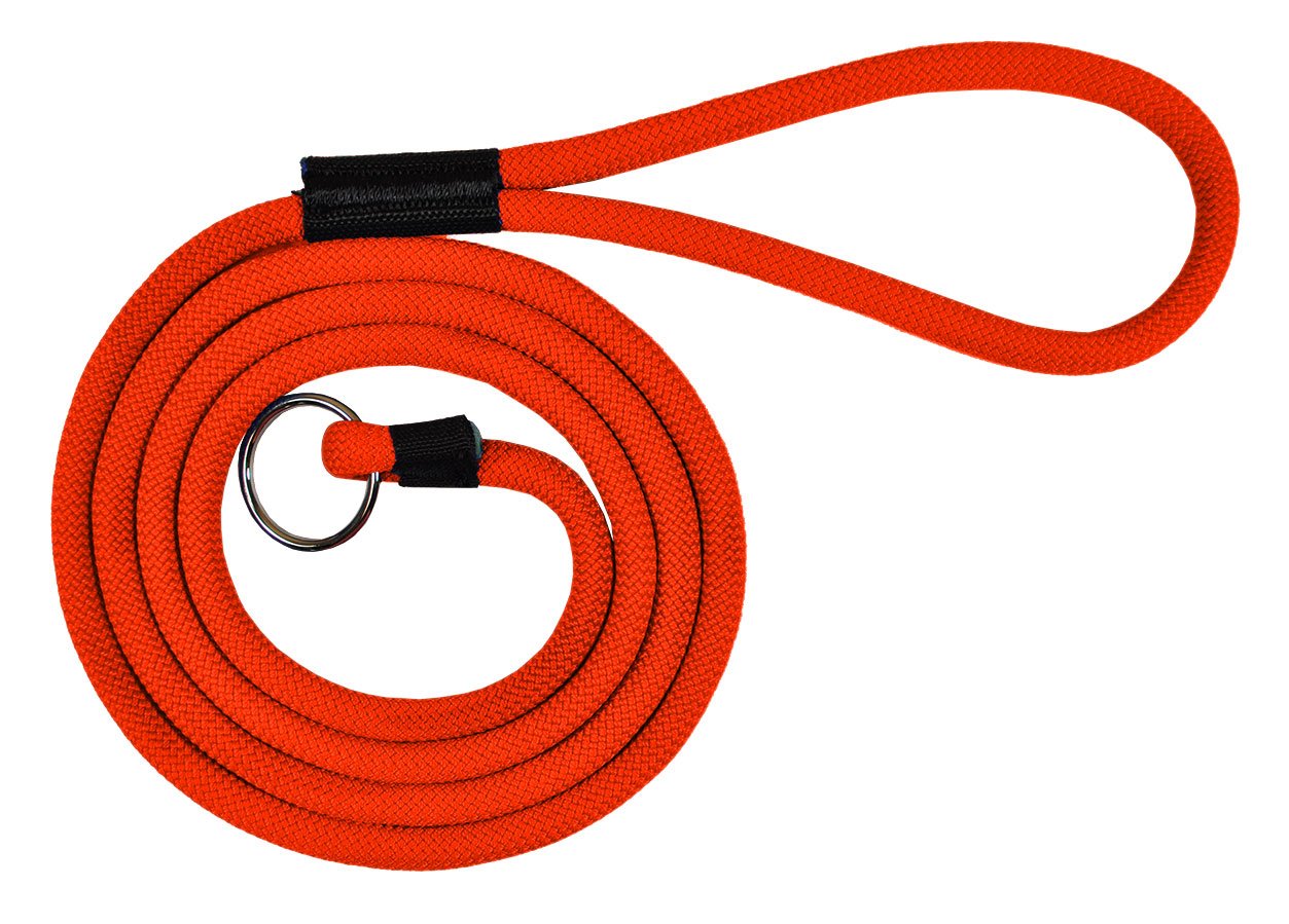 Durable 6' Long Dog Slip Lead Leash - Multi-Color Options