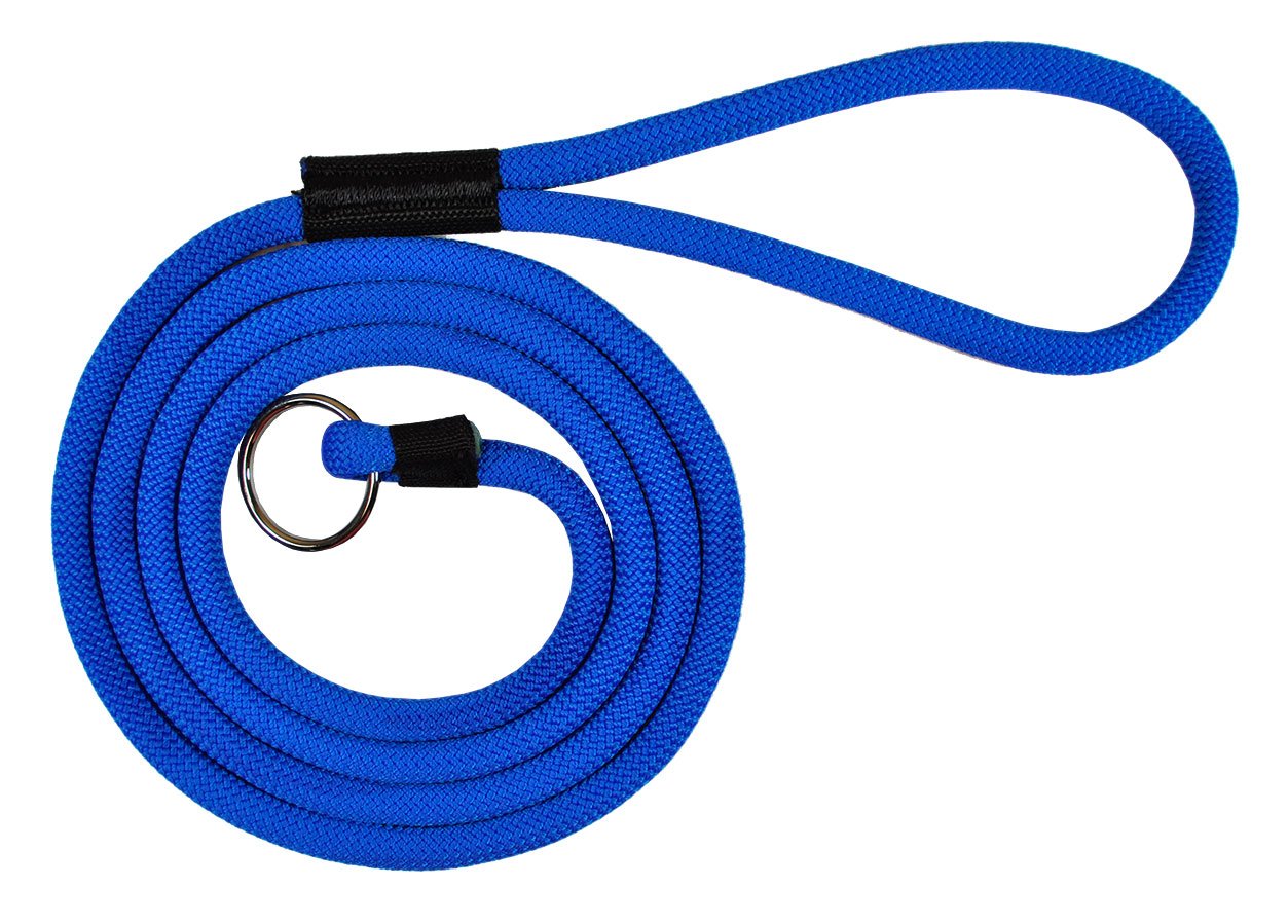 Durable 6' Long Dog Slip Lead Leash - Multi-Color Options
