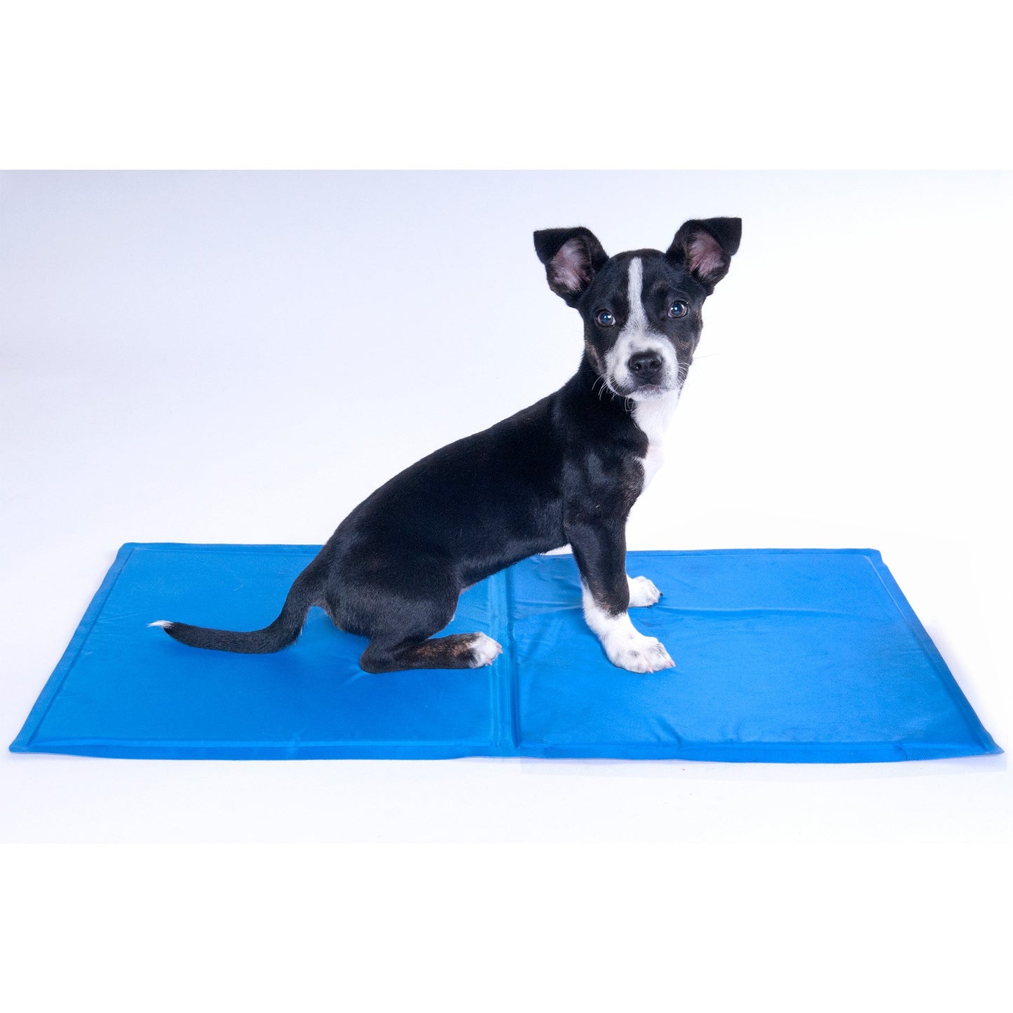 Pet Cooling Mat for Small Dogs and Cats - Multi-Size Options