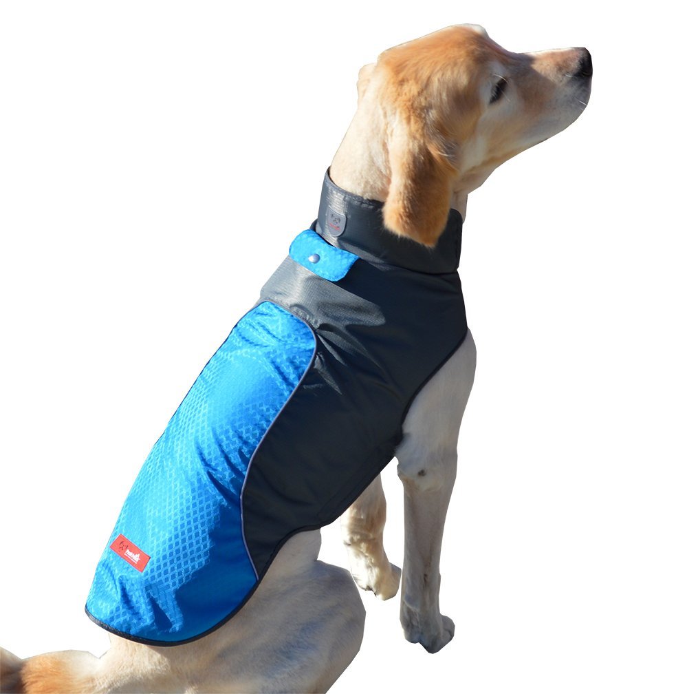 Cold Weather Dog Jacket - Multi-Color and Size Options