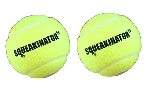 The Squeakinator, the original squeaking tennis ball
