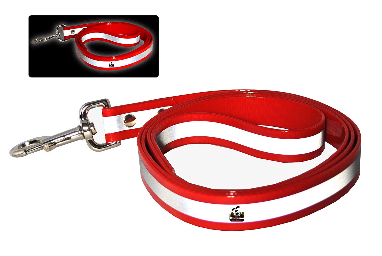 5' Long Reflective Dog Leash - Multi-Color Options