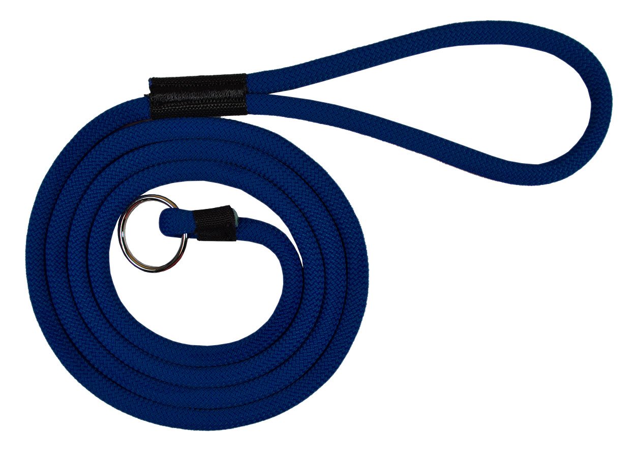 Durable 6' Long Dog Slip Lead Leash - Multi-Color Options