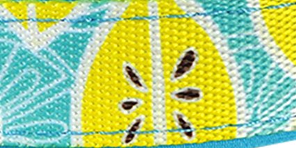 Adjustable Fruit Pattern Dog Collar - Multi-Size and Color Options