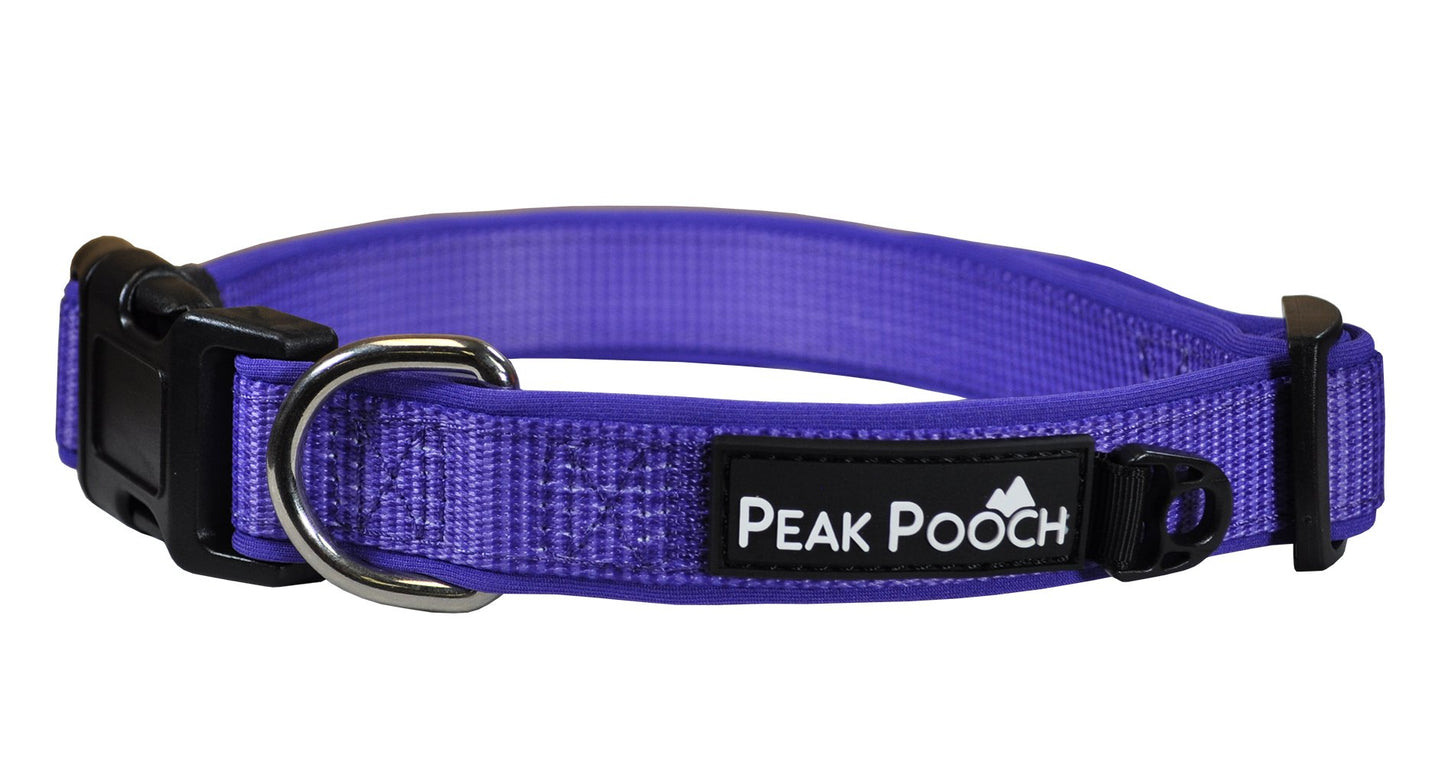 Adjustable Designer Dog Collar - Multi-Size and Color Options