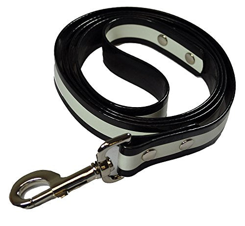 Dog Leash - Glow In The Dark - Multi-Color Options