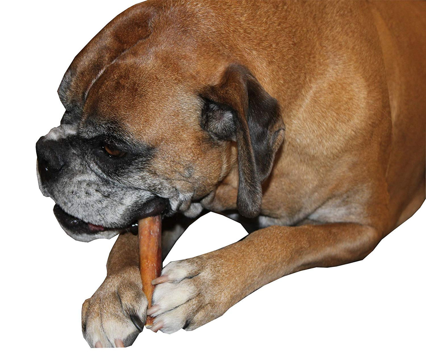 4" Bully Sticks for Dogs - Natural Chew Treats - Multi-Pack Options