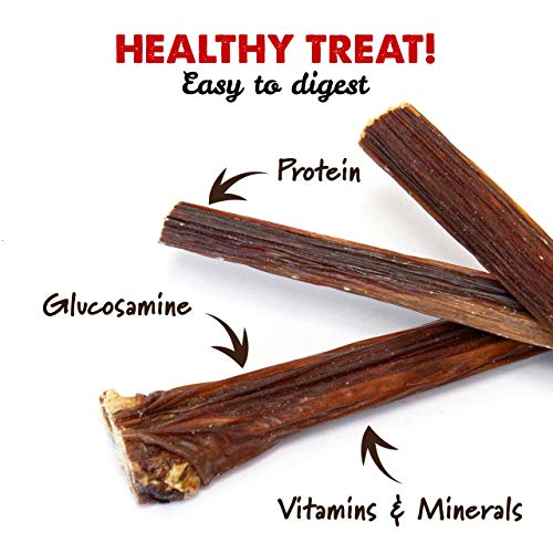 6" and 12" Beef Sticks - Natural Gullet Chew Treat - Pack Options