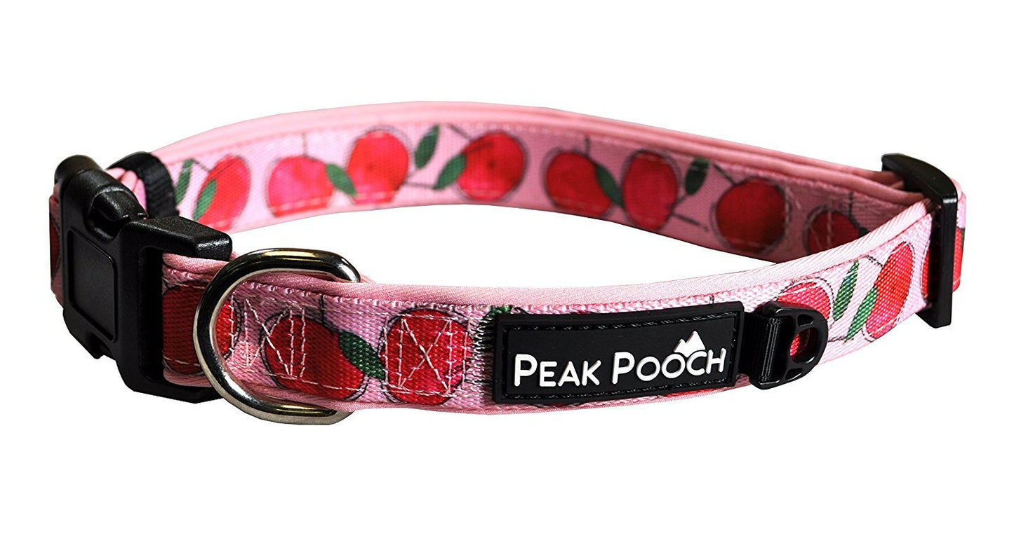 Adjustable Fruit Pattern Dog Collar - Multi-Size and Color Options